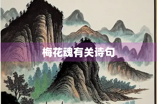 梅花魂有关诗句