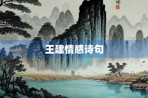 王建情感诗句