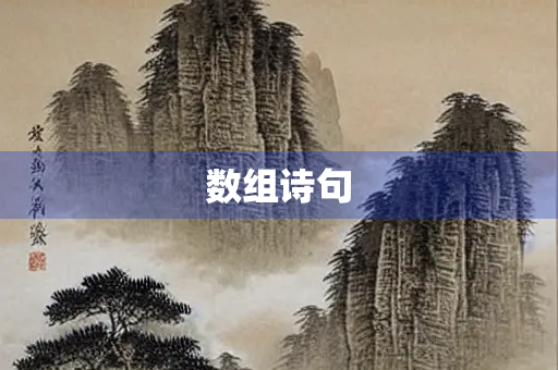 数组诗句
