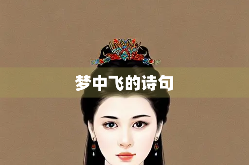 梦中飞的诗句