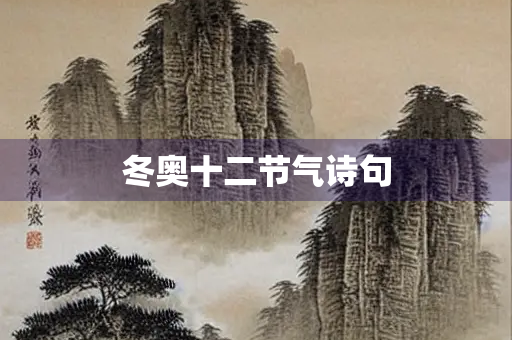 冬奥十二节气诗句