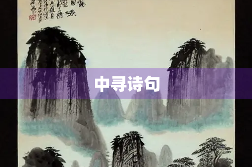 中寻诗句