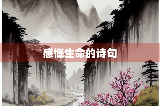 感慨生命的诗句