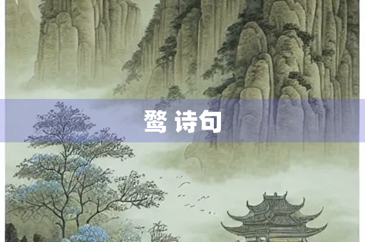鹜 诗句