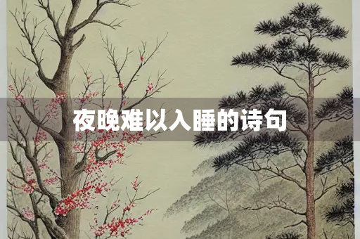 夜晚难以入睡的诗句