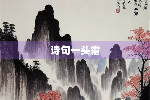 诗句一头霜