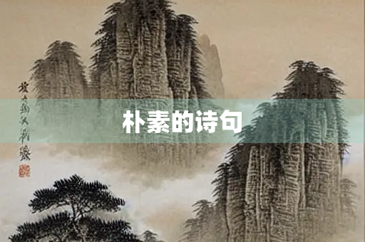 朴素的诗句