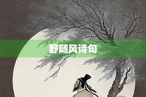 野随风诗句