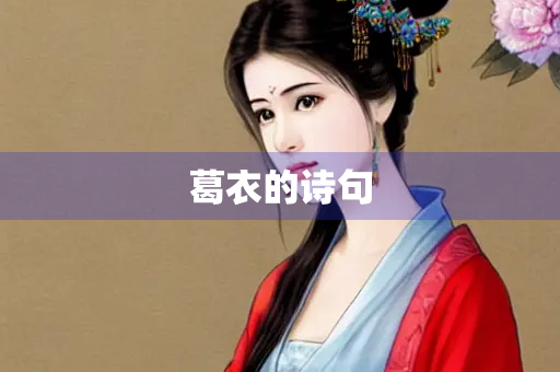 葛衣的诗句