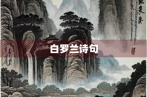 白罗兰诗句