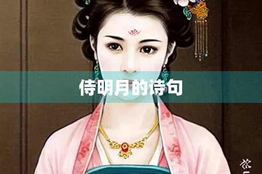 侍明月的诗句