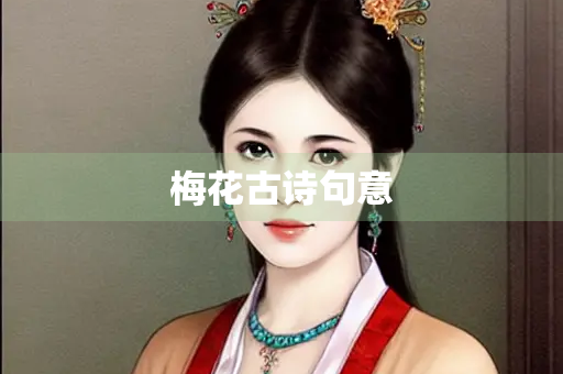 梅花古诗句意