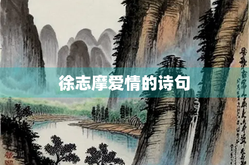 徐志摩爱情的诗句