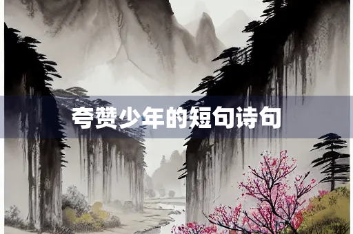 夸赞少年的短句诗句