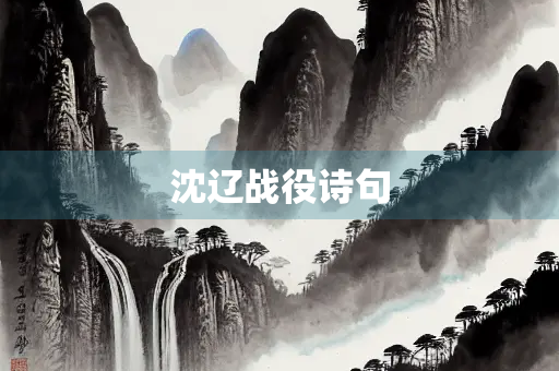 沈辽战役诗句