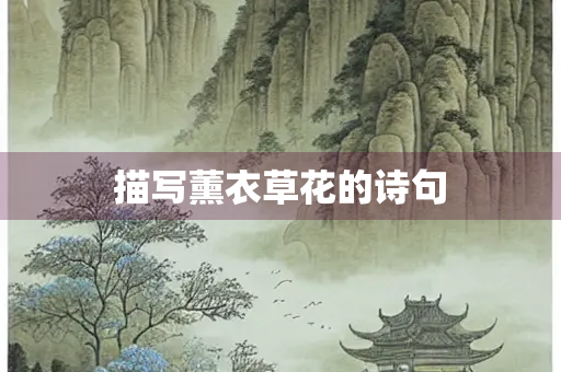 描写薰衣草花的诗句