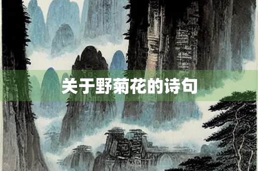 关于野菊花的诗句