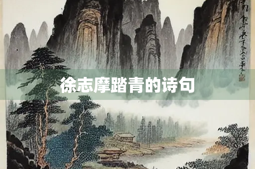 徐志摩踏青的诗句