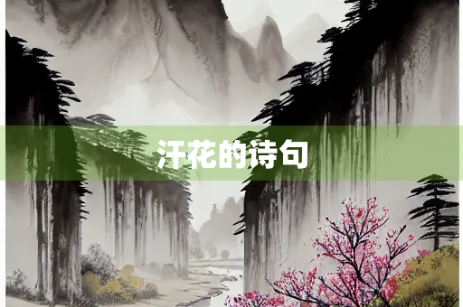 汗花的诗句