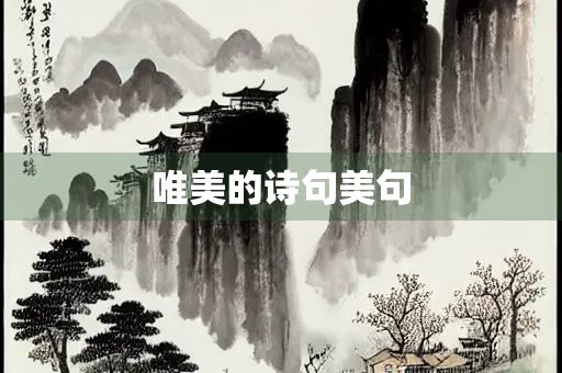 唯美的诗句美句