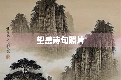 望岳诗句照片