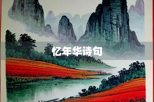 忆年华诗句