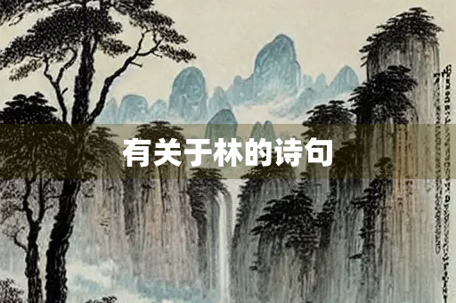 有关于林的诗句