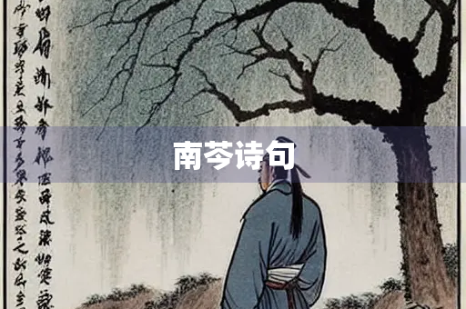 南芩诗句
