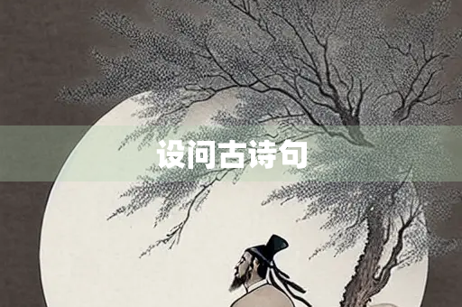 设问古诗句