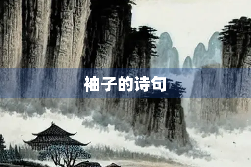 袖子的诗句