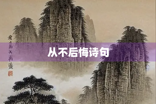 从不后悔诗句