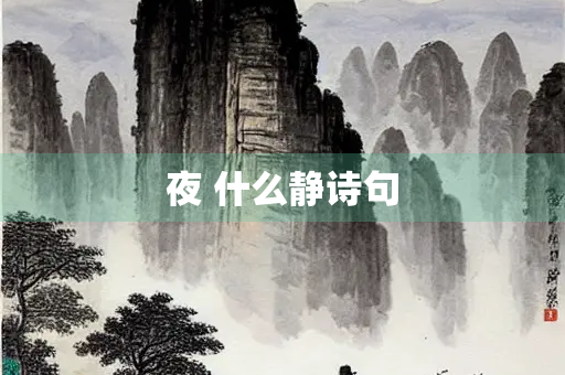 夜 什么静诗句