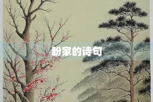 盼家的诗句