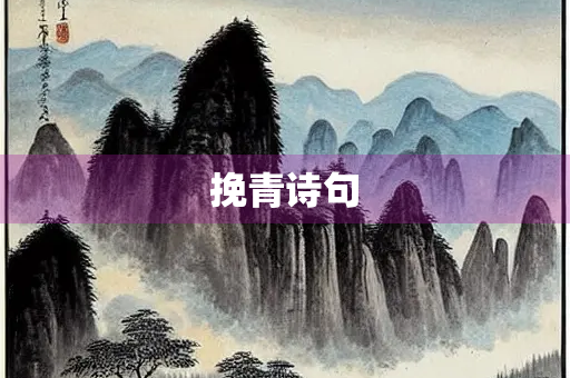 挽青诗句