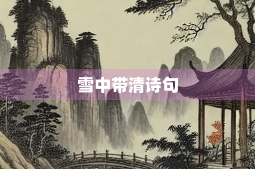 雪中带清诗句