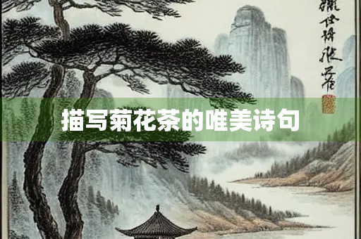 描写菊花茶的唯美诗句