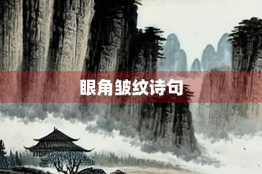 眼角皱纹诗句