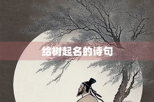 给树起名的诗句