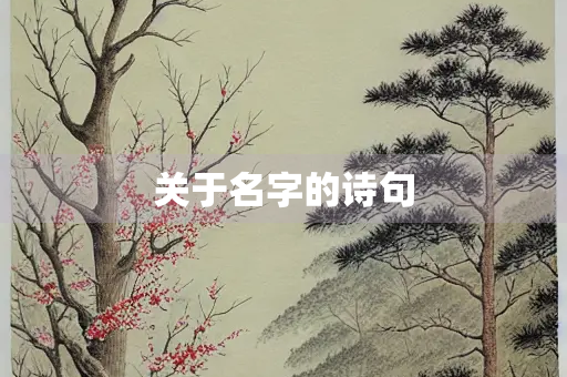关于名字的诗句
