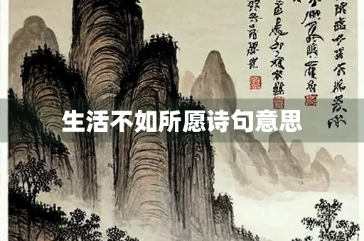 生活不如所愿诗句意思