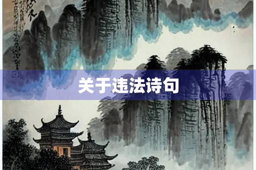 关于违法诗句