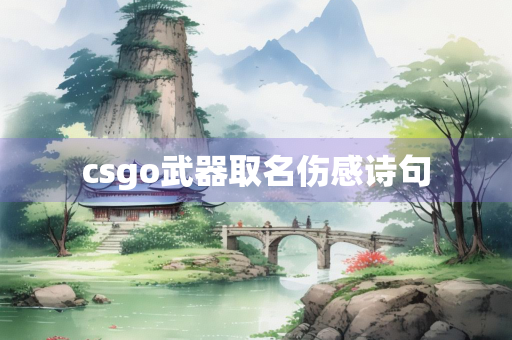 csgo武器取名伤感诗句
