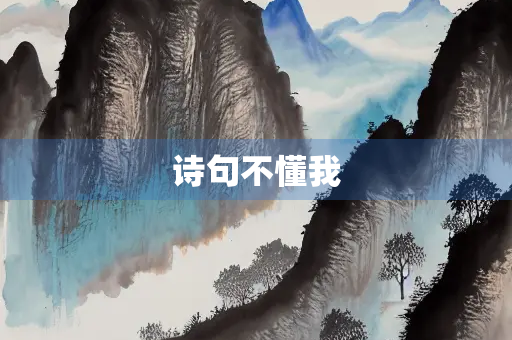 诗句不懂我