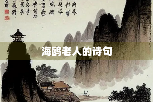 海鸥老人的诗句