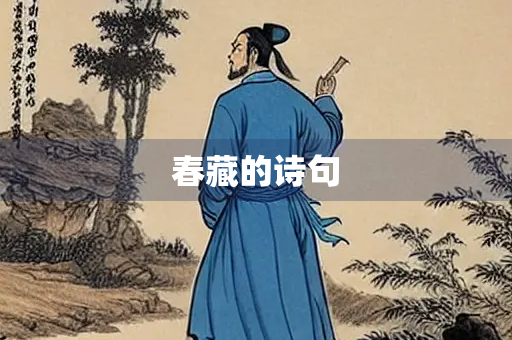 春藏的诗句