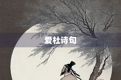 爱杜诗句