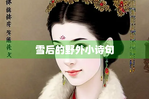 雪后的野外小诗句