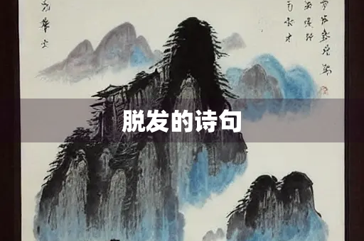 脱发的诗句
