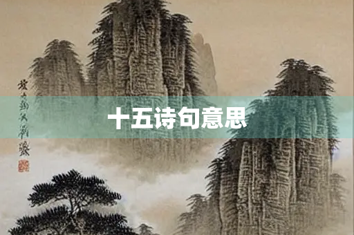 十五诗句意思