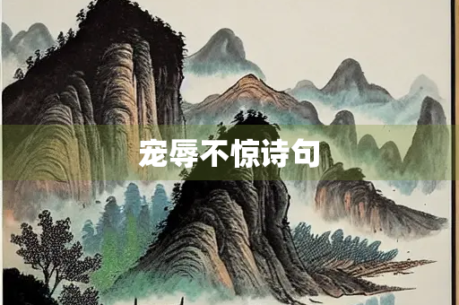 宠辱不惊诗句